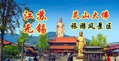 日出白浆免费视频完整版江苏无锡灵山大佛旅游风景区