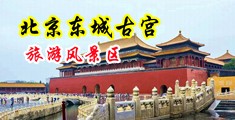 亚洲片人3页码中国北京-东城古宫旅游风景区